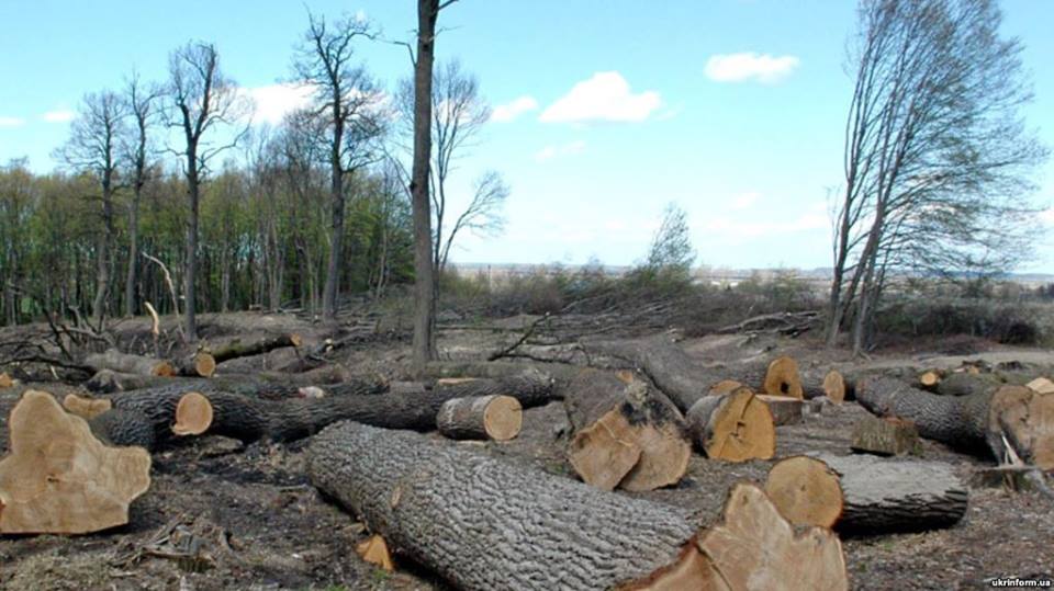 Основний ресурс розвитку громад на гірських теиторіях