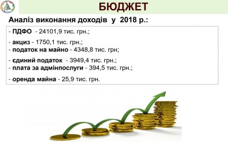 Звіт селищного голови Брошнів-Осадської ОТГ