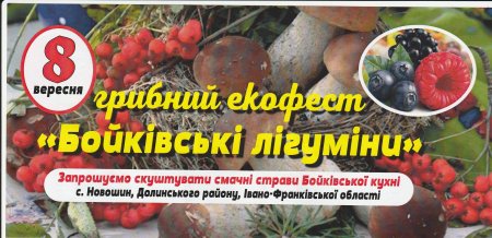Грибний екофест "Бойківські лігуміни" в с. Новошин (Вигодська ОТГ)
