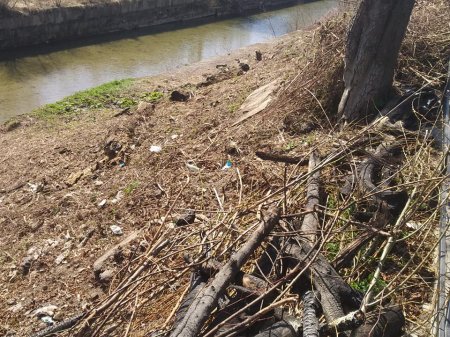 Міське комунальне підприємство "Косів" почало очистку берега по вул. Над Гуком навпроти "Водограю"
