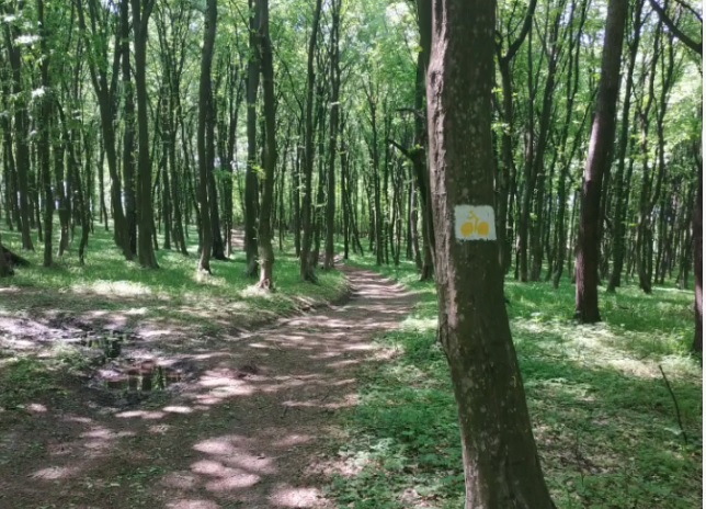 В Коломийській ОТГ презентували туристичний веломаршрут 