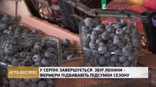 На Прикарпатті шириться кооперативний рух у ягідництві | Агро-Експрес