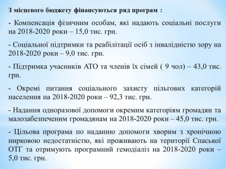 Звіт Спаського сільського голови за 2018 рік