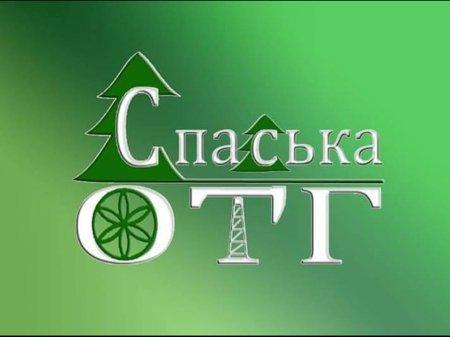 Звіт Спаського сільського голови за 2018 рік