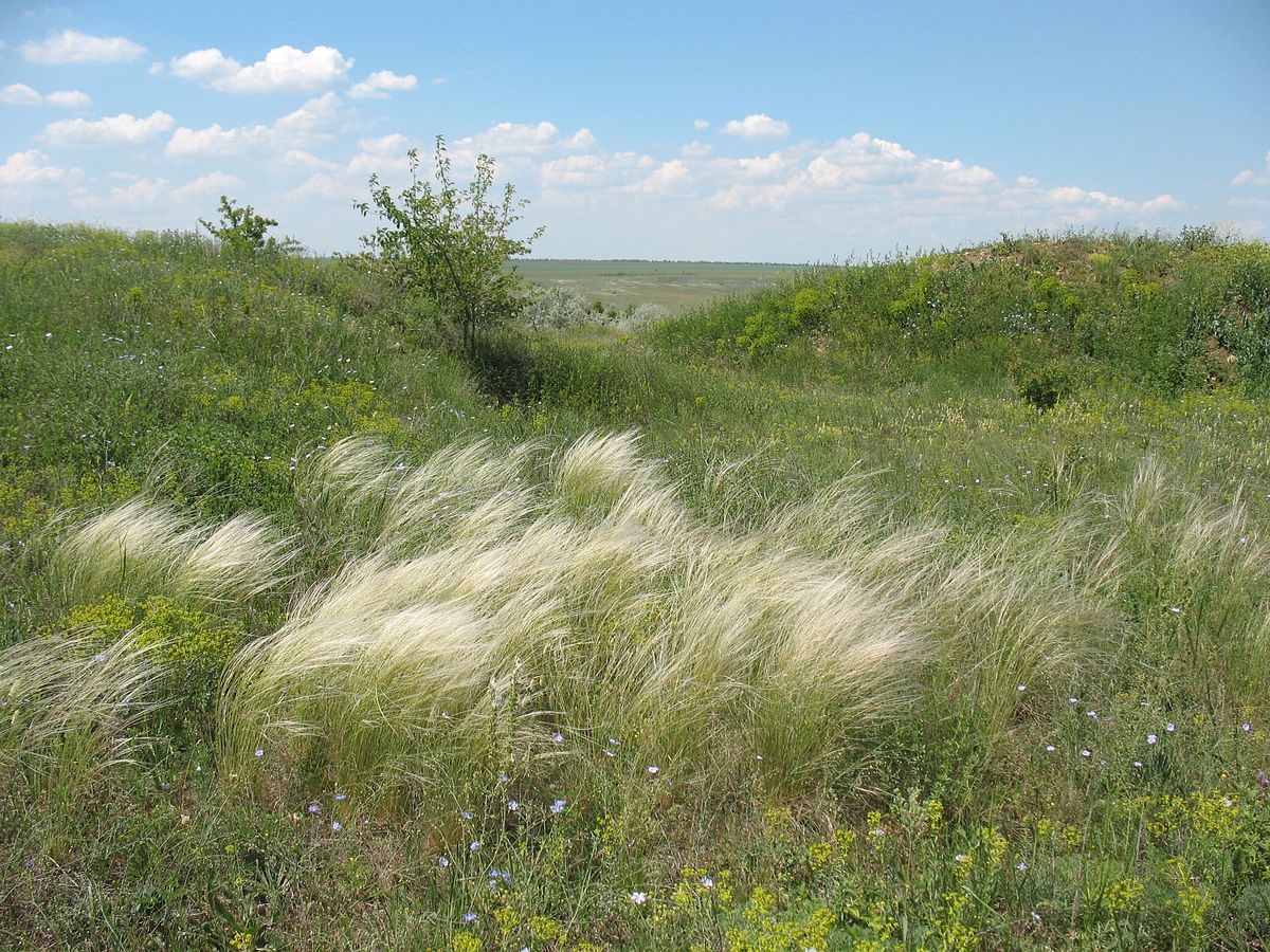 АМУ просить Уряд привести у відповідність кодифікацію земель
