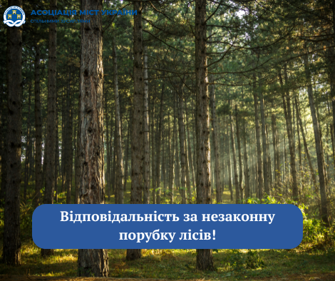 Асоціація міст України ініціює скасування норми, що покладає на громади відповідальність за шкоду, завдану лісам невстановленими особами